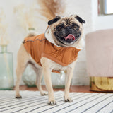 Insulated Dog Raincoat - Hazel