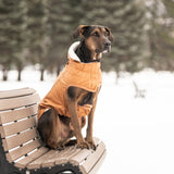 Insulated Dog Raincoat - Hazel