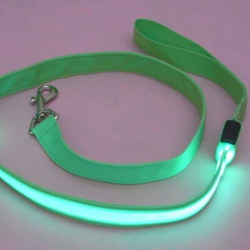 LED Light Pet Leash