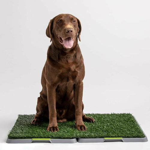 Potty Patch, Reusable Dog Trainer