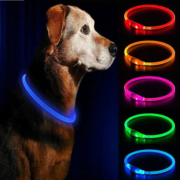 LED Waterproof Pet Collars with USB Charging