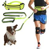 Leash with Pet Waist Bag Sports Traction Rope Reflective Waterproof