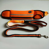 Leash with Pet Waist Bag Sports Traction Rope Reflective Waterproof