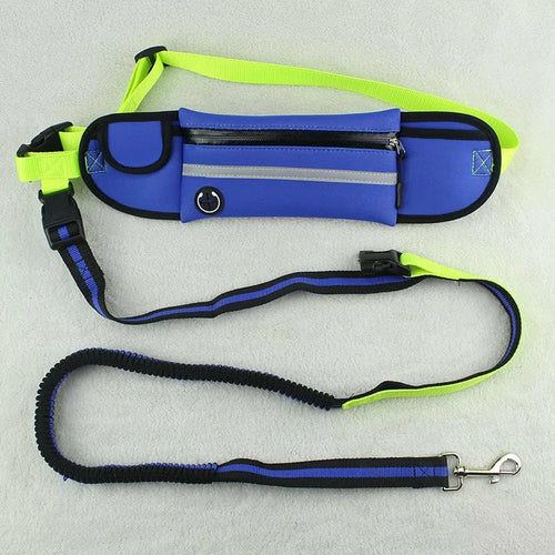 Leash with Pet Waist Bag Sports Traction Rope Reflective Waterproof