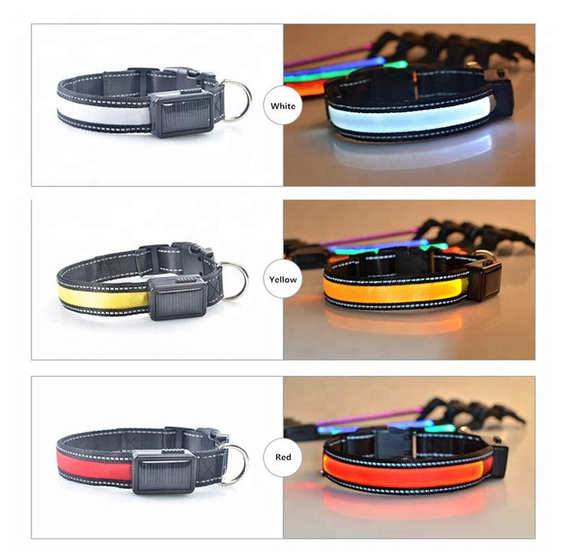 Reflective Dog Collar - USB and Solar Charge Collar