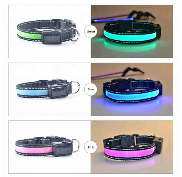 Reflective Dog Collar - USB and Solar Charge Collar