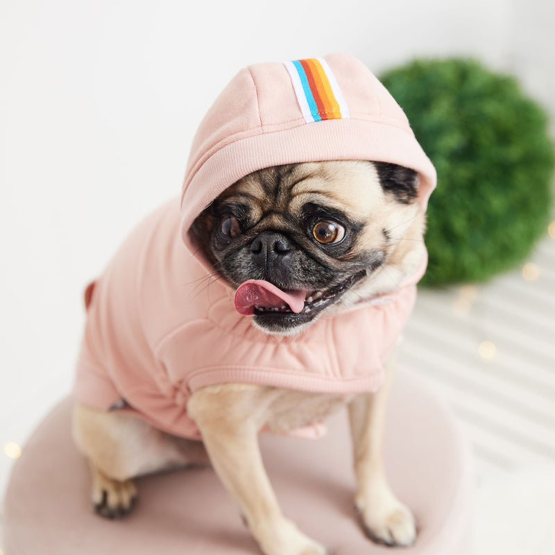 Pink Urban Pet Hoodie