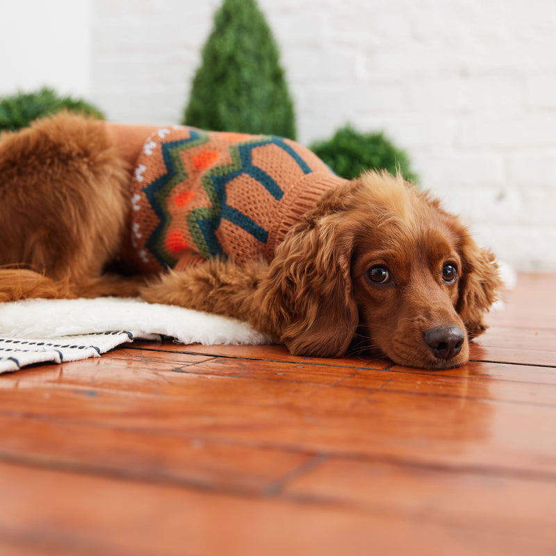 Vintage Turtleneck Sweater, Heritage Dog Sweater - Hazel