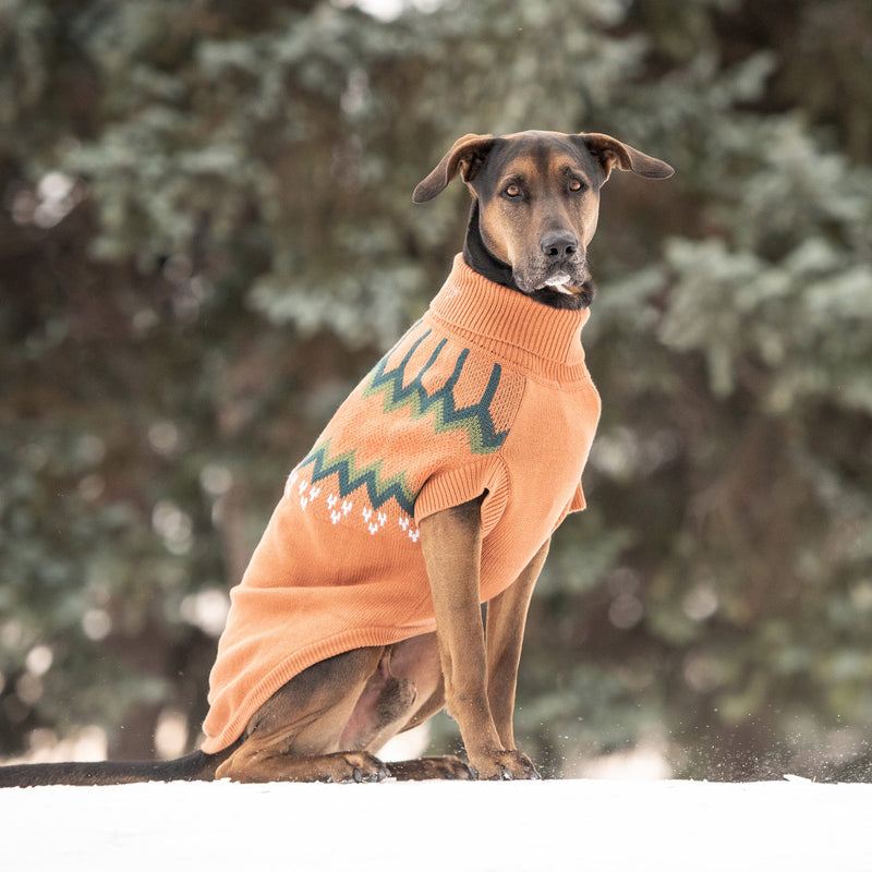 Vintage Turtleneck Sweater, Heritage Dog Sweater - Hazel