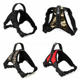 Soft Adjustable Harness