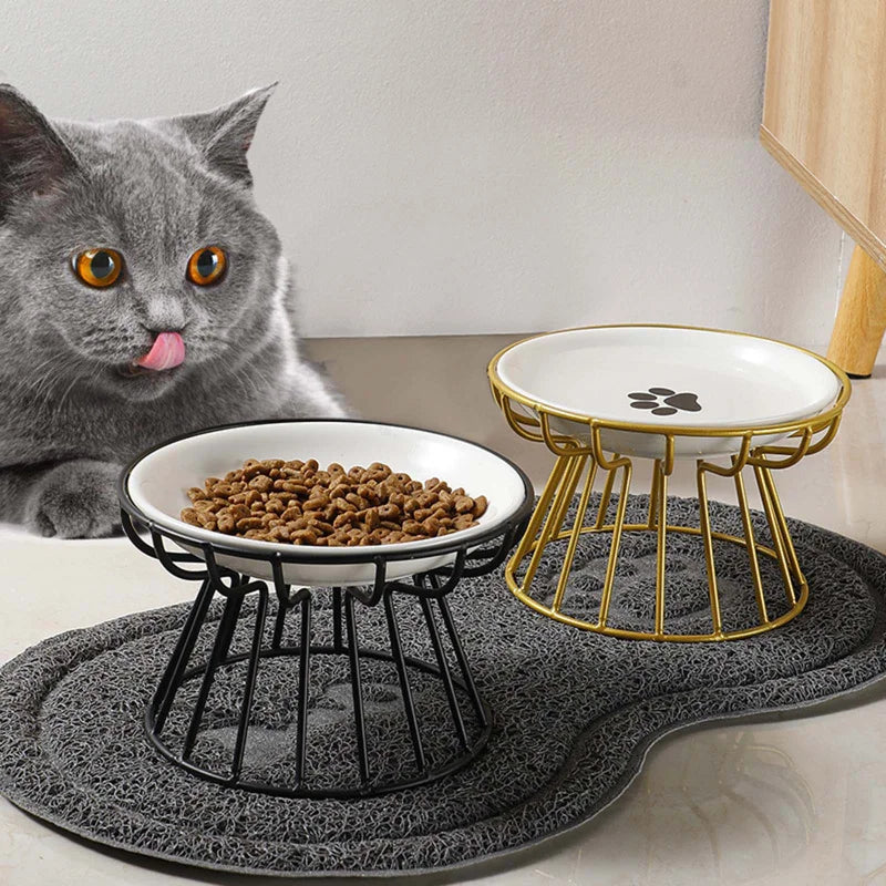 Ceramic Raised, Elevated Pet Bowl for Food, Water or Treats