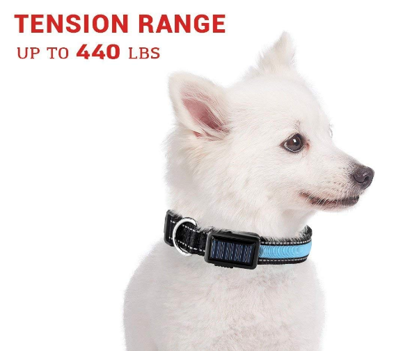 Reflective Dog Collar - USB and Solar Charge Collar