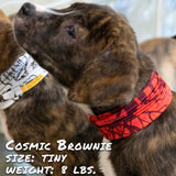 Cherry Bomb Pup Scruff Scarf