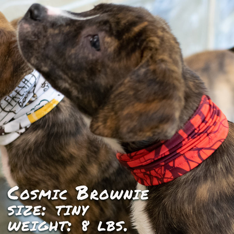 Cherry Bomb Pup Scruff Scarf