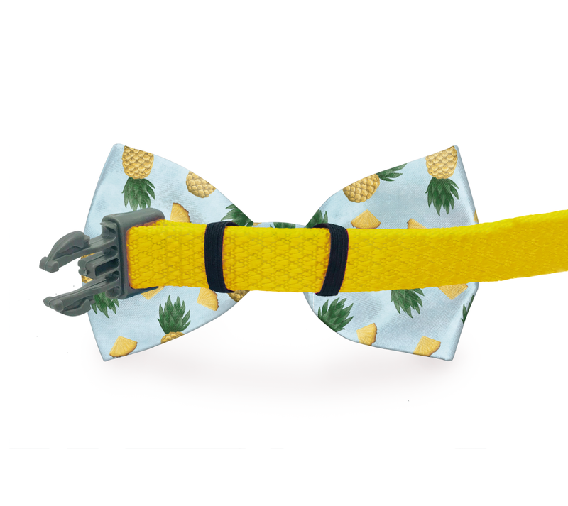 Pineapple Dog Bow Tie