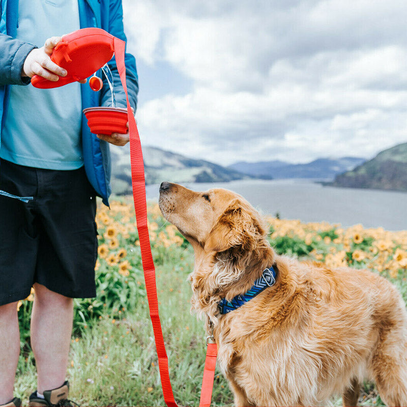 Multifunctional Pet Leash With Built-in Water Bottle Bowl and Bag Dispenser