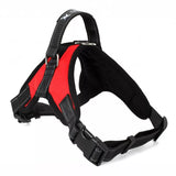 Soft Adjustable Harness