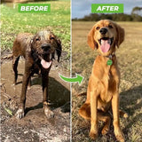 Dog Spa Shower Jet