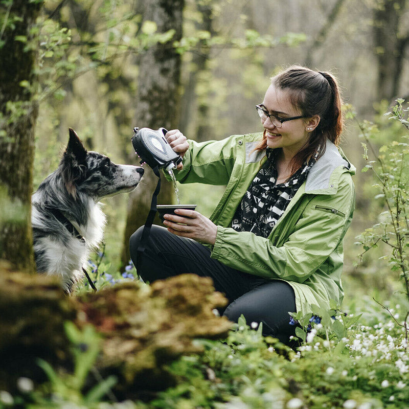 Multifunctional Pet Leash With Built-in Water Bottle Bowl and Bag Dispenser